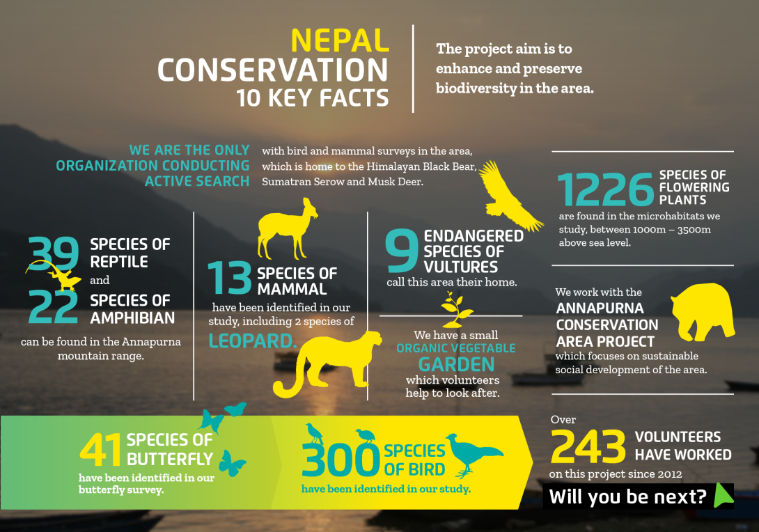 The impact you will make on the conservation volunteer project in Nepal with projects abroad Interesting facts about conservation volunteering in Nepal with projects abroad